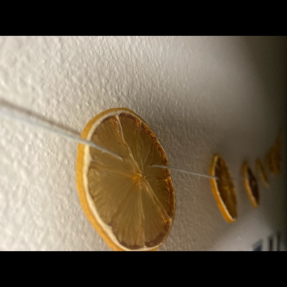 Handmade Lemon Garland - Picture 5 of 5